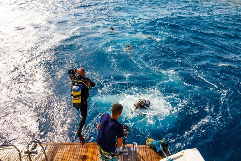 <span style="font-weight: bold;">Дайвинг в Египте</span>