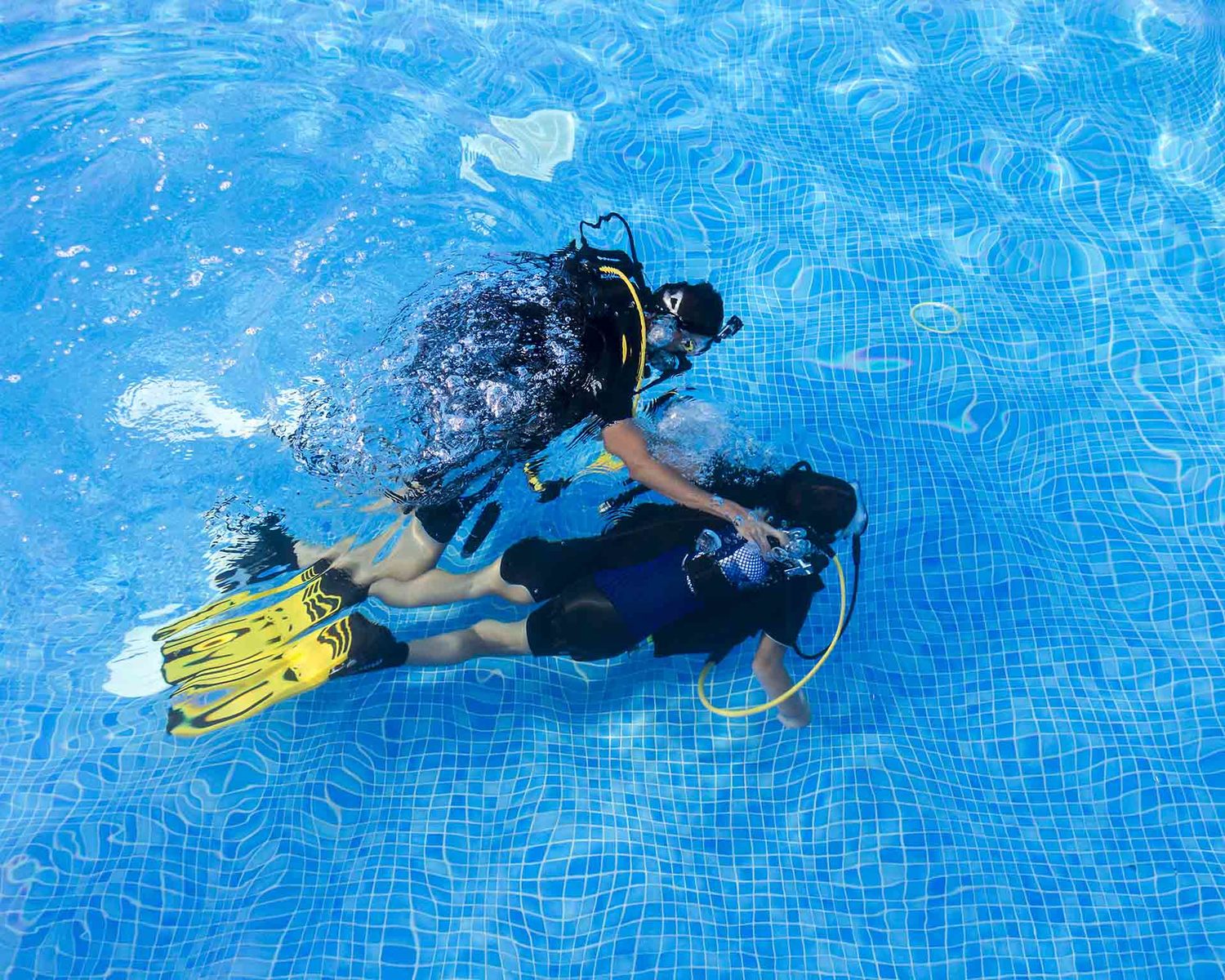 <span style="font-weight: bold;">КУРС OPEN WATER DIVER (REFERRAL) </span>